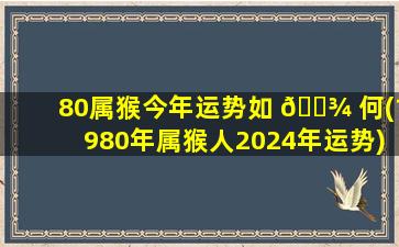 80属猴今年运势如 🌾 何(1980年属猴人2024年运势)